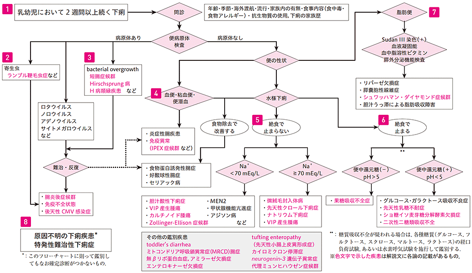 難治性下痢症診断アルゴリズム