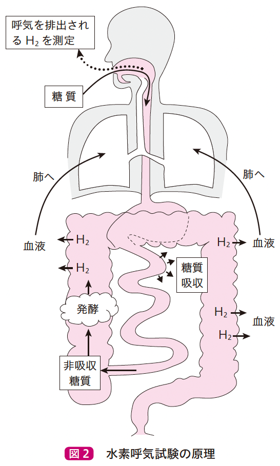 図2