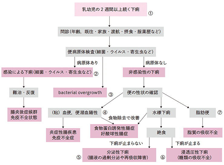 難治性下痢症診断アルゴリズム簡易版